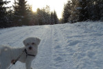 Just around the corner | Hagfors | Värmland | Sweden