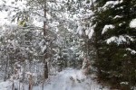 Just around the corner | Hagfors | Värmland | Sweden