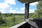 Mariebergsskogen | Karlstad| Värmland | Sweden