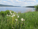 Holiday Home HagforsSemeser | Rådasjön